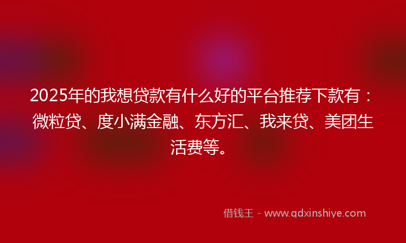 2025年的我想贷款有什么好的平台推荐下款有：微粒贷、度小满金融、东方汇、我来贷、美团生活费等。