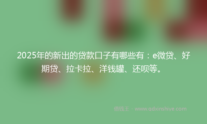 2025年的新出的贷款口子有哪些有：e微贷、好期贷、拉卡拉、洋钱罐、还呗等。
