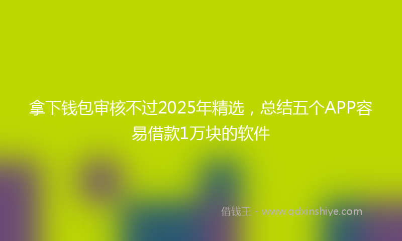 拿下钱包审核不过2025年精选，总结五个APP容易借款1万块的软件
