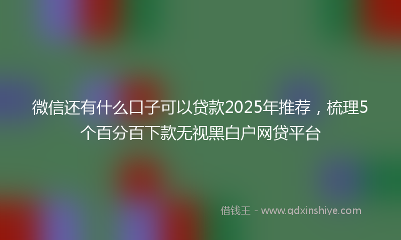微信还有什么口子可以贷款2025年推荐，梳理5个百分百下款无视黑白户网贷平台