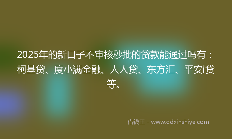 2025年的新口子不审核秒批的贷款能通过吗有：柯基贷、度小满金融、人人贷、东方汇、平安i贷等。