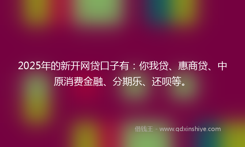 2025年的新开网贷口子有：你我贷、惠商贷、中原消费金融、分期乐、还呗等。