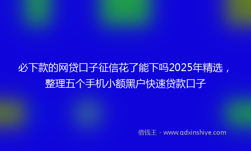 必下款的网贷口子征信花了能下吗2025年精选，整理五个手机小额黑户快速贷款口子