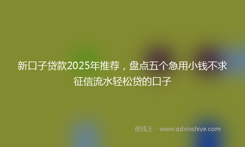 新口子贷款2025年推荐，盘点五个急用小钱不求征信流水轻松贷的口子