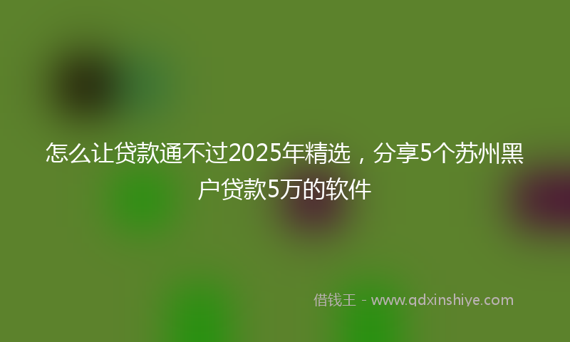怎么让贷款通不过2025年精选，分享5个苏州黑户贷款5万的软件