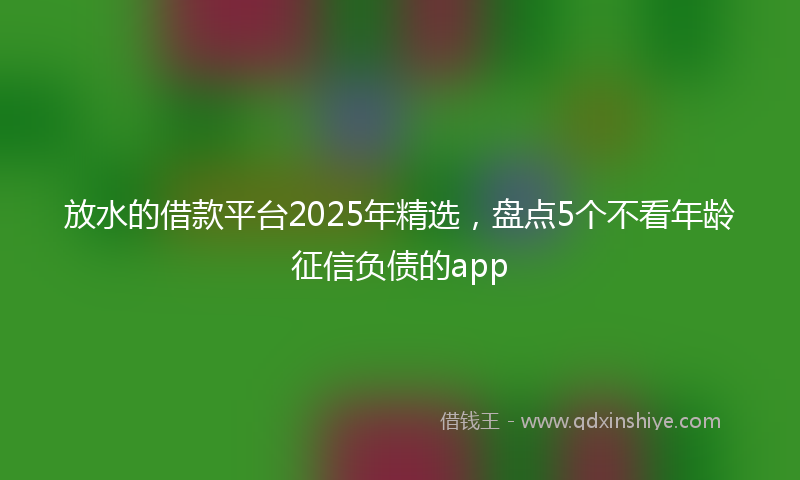 放水的借款平台2025年精选，盘点5个不看年龄征信负债的app