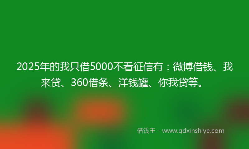 2025年的我只借5000不看征信有：微博借钱、我来贷、360借条、洋钱罐、你我贷等。