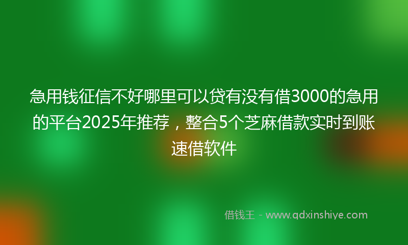 急用钱征信不好哪里可以贷有没有借3000的急用的平台2025年推荐，整合5个芝麻借款实时到账速借软件