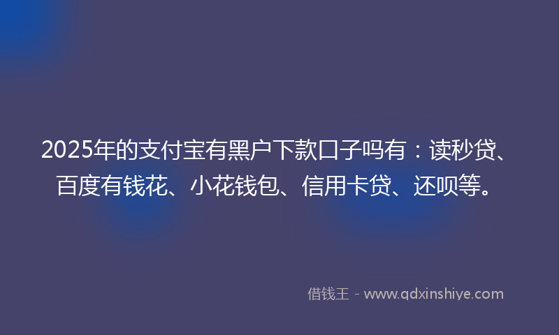 2025年的支付宝有黑户下款口子吗有：读秒贷、百度有钱花、小花钱包、信用卡贷、还呗等。