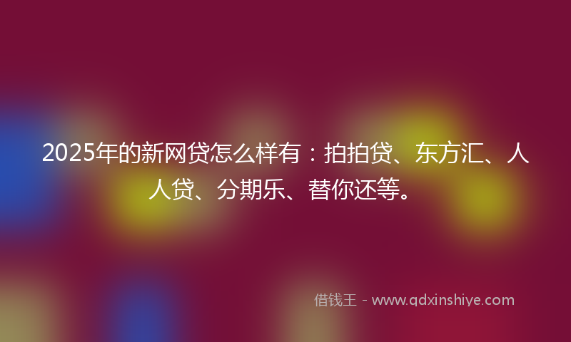 2025年的新网贷怎么样有：拍拍贷、东方汇、人人贷、分期乐、替你还等。