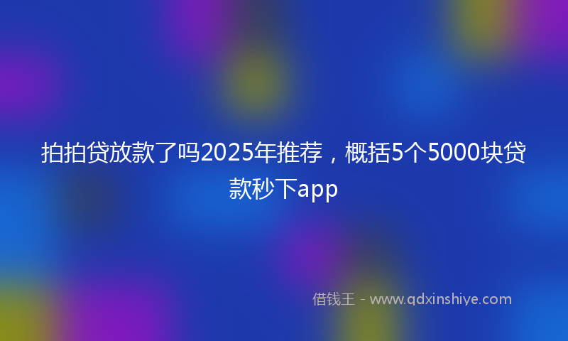 拍拍贷放款了吗2025年推荐，概括5个5000块贷款秒下app