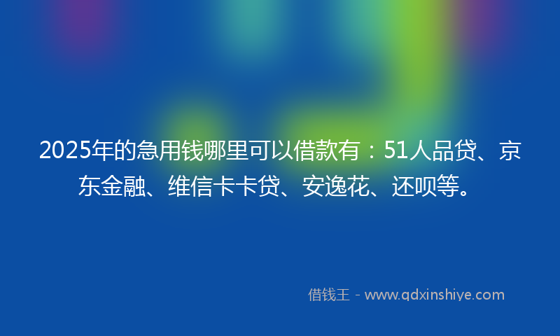2025年的急用钱哪里可以借款有：51人品贷、京东金融、维信卡卡贷、安逸花、还呗等。