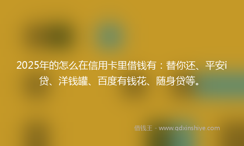 2025年的怎么在信用卡里借钱有：替你还、平安i贷、洋钱罐、百度有钱花、随身贷等。
