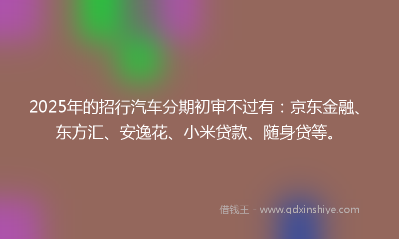 2025年的招行汽车分期初审不过有：京东金融、东方汇、安逸花、小米贷款、随身贷等。