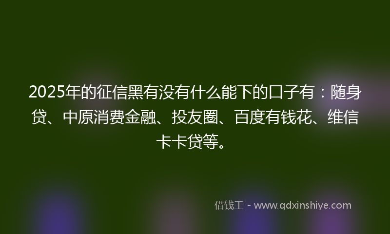 2025年的征信黑有没有什么能下的口子有：随身贷、中原消费金融、投友圈、百度有钱花、维信卡卡贷等。