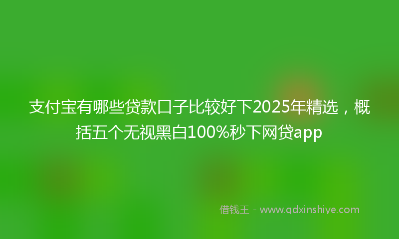 支付宝有哪些贷款口子比较好下2025年精选，概括五个无视黑白100%秒下网贷app