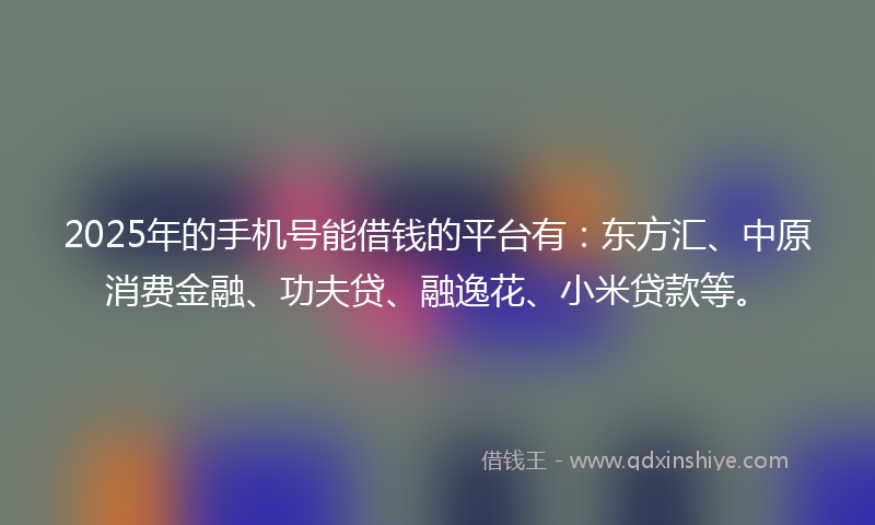 2025年的手机号能借钱的平台有：东方汇、中原消费金融、功夫贷、融逸花、小米贷款等。