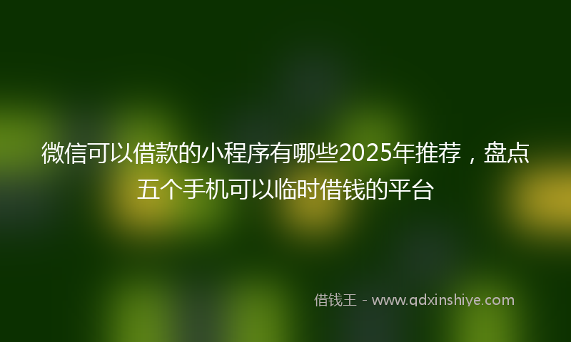 微信可以借款的小程序有哪些2025年推荐，盘点五个手机可以临时借钱的平台