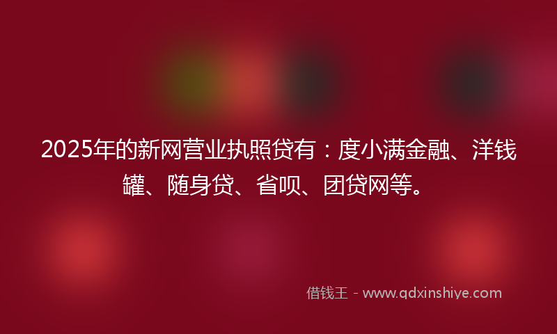 2025年的新网营业执照贷有：度小满金融、洋钱罐、随身贷、省呗、团贷网等。