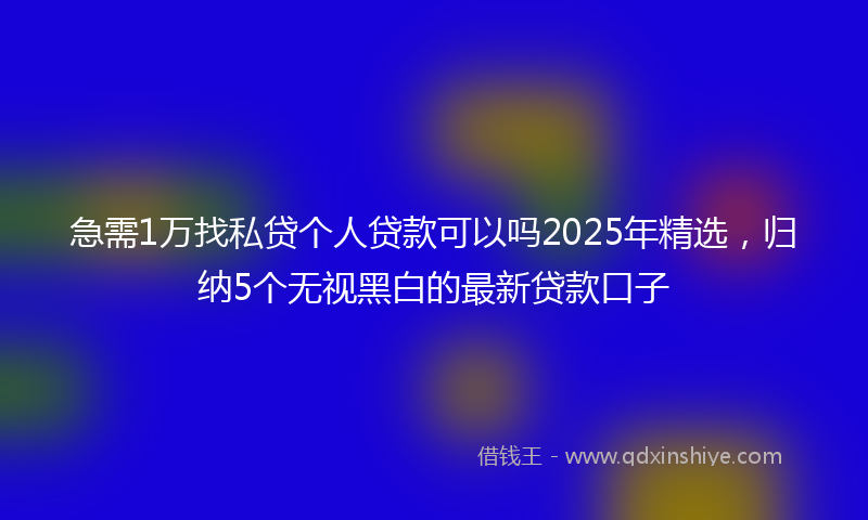 急需1万找私贷个人贷款可以吗2025年精选，归纳5个无视黑白的最新贷款口子