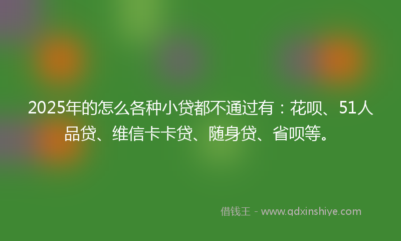 2025年的怎么各种小贷都不通过有：花呗、51人品贷、维信卡卡贷、随身贷、省呗等。