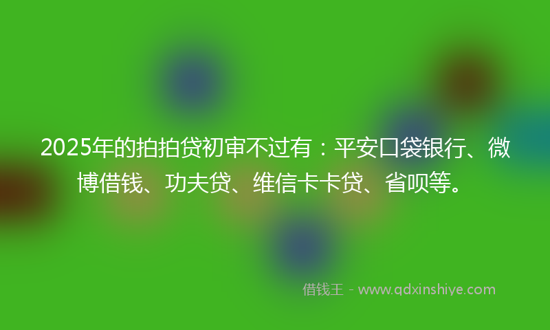 2025年的拍拍贷初审不过有：平安口袋银行、微博借钱、功夫贷、维信卡卡贷、省呗等。