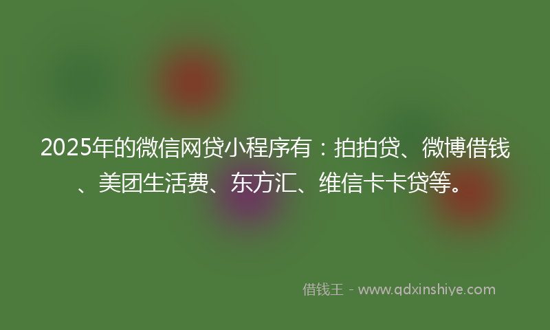 2025年的微信网贷小程序有：拍拍贷、微博借钱、美团生活费、东方汇、维信卡卡贷等。