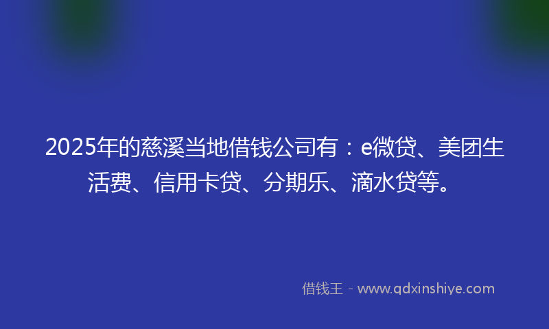 2025年的慈溪当地借钱公司有：e微贷、美团生活费、信用卡贷、分期乐、滴水贷等。