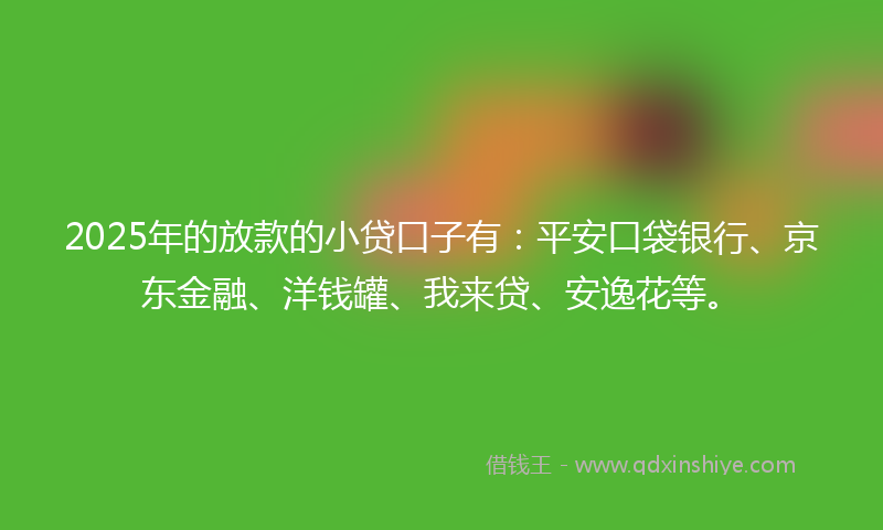 2025年的放款的小贷口子有：平安口袋银行、京东金融、洋钱罐、我来贷、安逸花等。