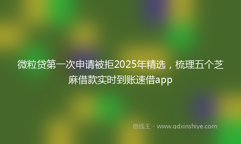 微粒贷第一次申请被拒2025年精选，梳理五个芝麻借款实时到账速借app