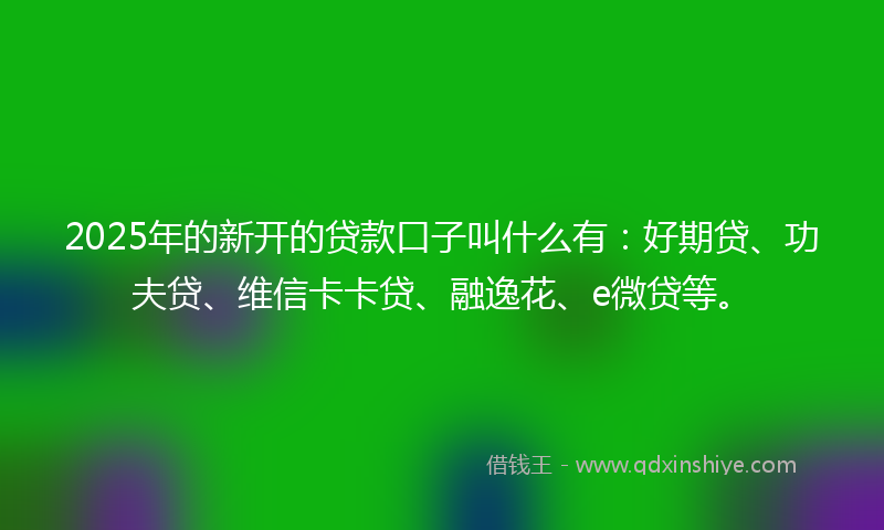 2025年的新开的贷款口子叫什么有：好期贷、功夫贷、维信卡卡贷、融逸花、e微贷等。