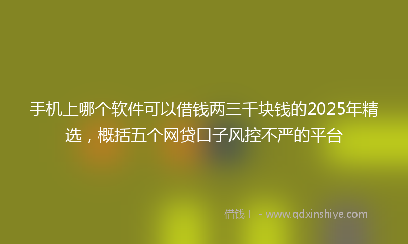 手机上哪个软件可以借钱两三千块钱的2025年精选，概括五个网贷口子风控不严的平台