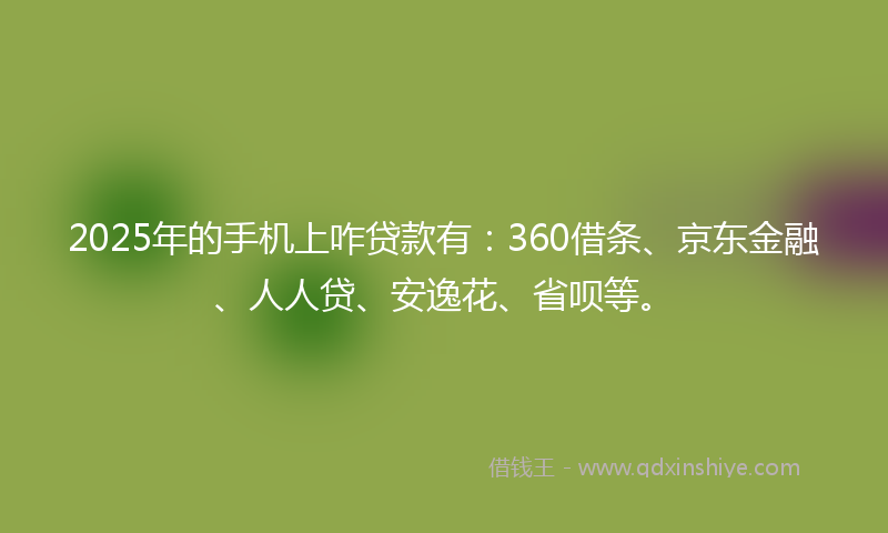 2025年的手机上咋贷款有：360借条、京东金融、人人贷、安逸花、省呗等。