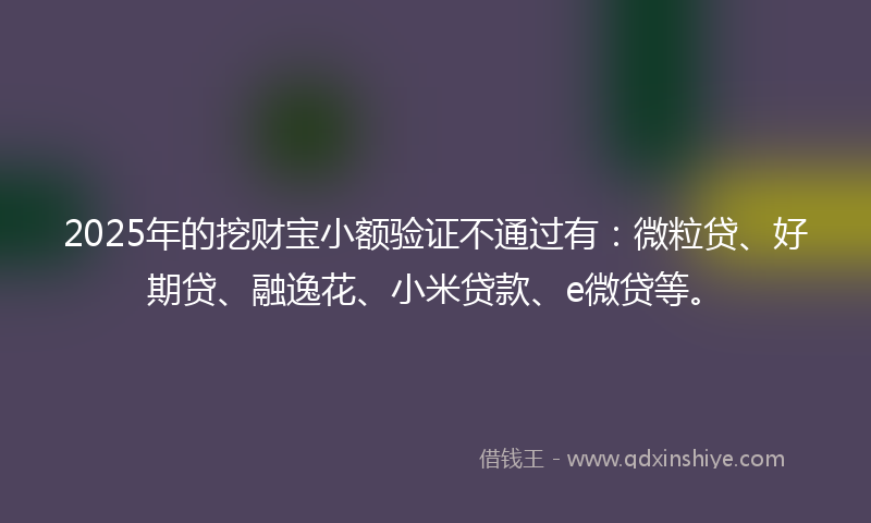 2025年的挖财宝小额验证不通过有：微粒贷、好期贷、融逸花、小米贷款、e微贷等。
