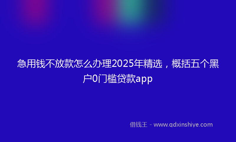 急用钱不放款怎么办理2025年精选，概括五个黑户0门槛贷款app
