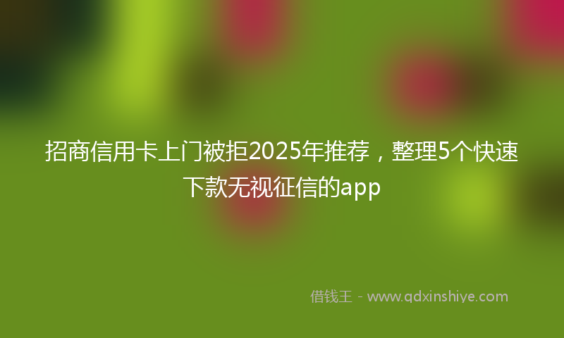 招商信用卡上门被拒2025年推荐，整理5个快速下款无视征信的app