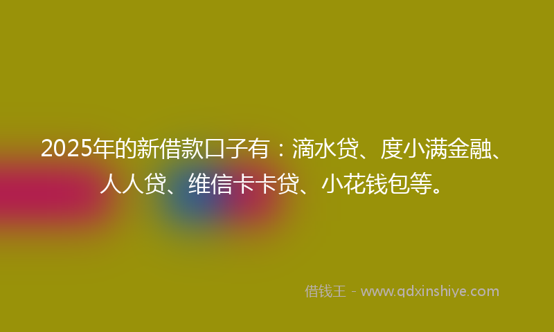 2025年的新借款口子有：滴水贷、度小满金融、人人贷、维信卡卡贷、小花钱包等。