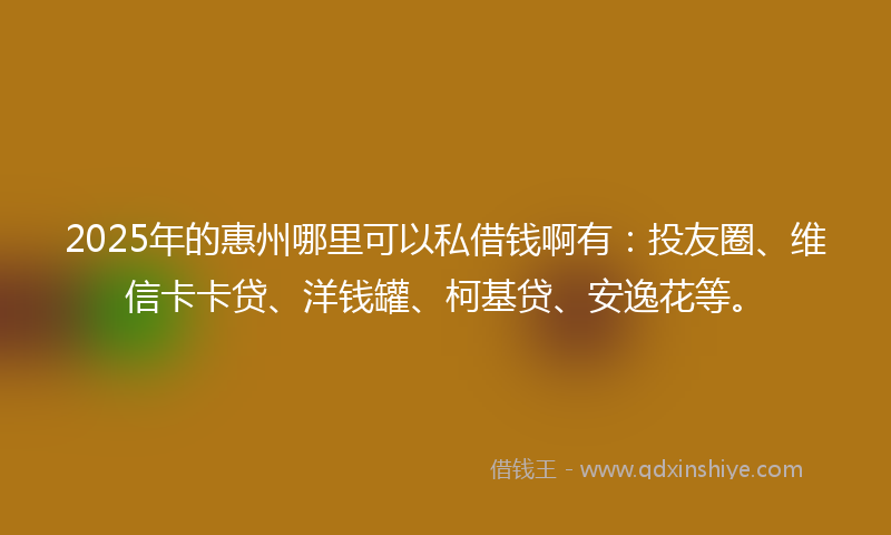 2025年的惠州哪里可以私借钱啊有：投友圈、维信卡卡贷、洋钱罐、柯基贷、安逸花等。