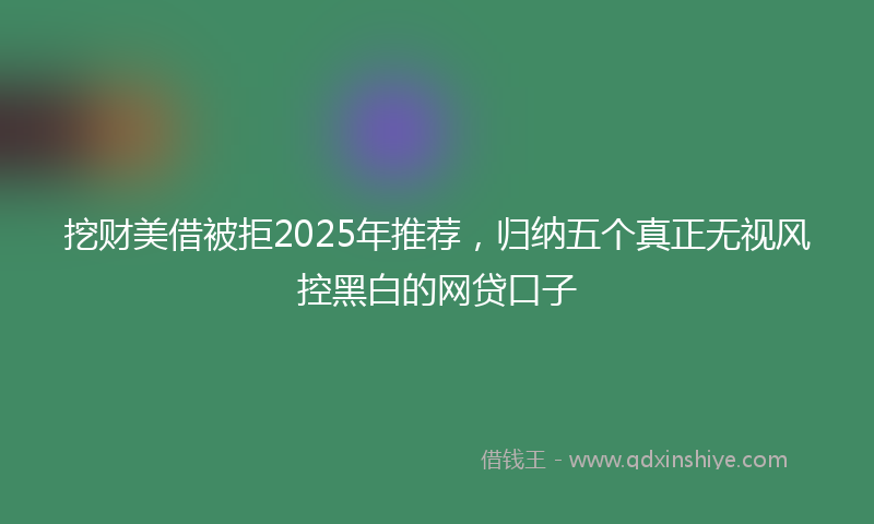 挖财美借被拒2025年推荐，归纳五个真正无视风控黑白的网贷口子