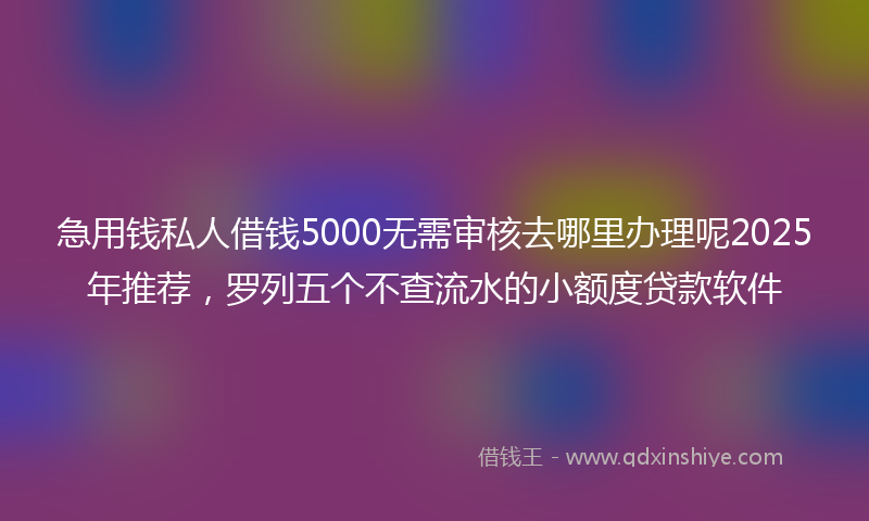 急用钱私人借钱5000无需审核去哪里办理呢2025年推荐，罗列五个不查流水的小额度贷款软件