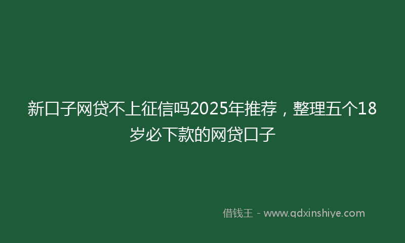新口子网贷不上征信吗2025年推荐，整理五个18岁必下款的网贷口子