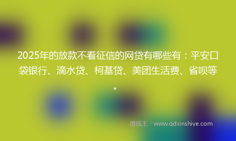 2025年的放款不看征信的网贷有哪些有：平安口袋银行、滴水贷、柯基贷、美团生活费、省呗等。