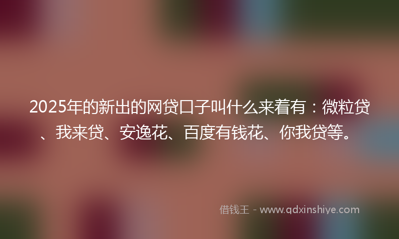 2025年的新出的网贷口子叫什么来着有：微粒贷、我来贷、安逸花、百度有钱花、你我贷等。