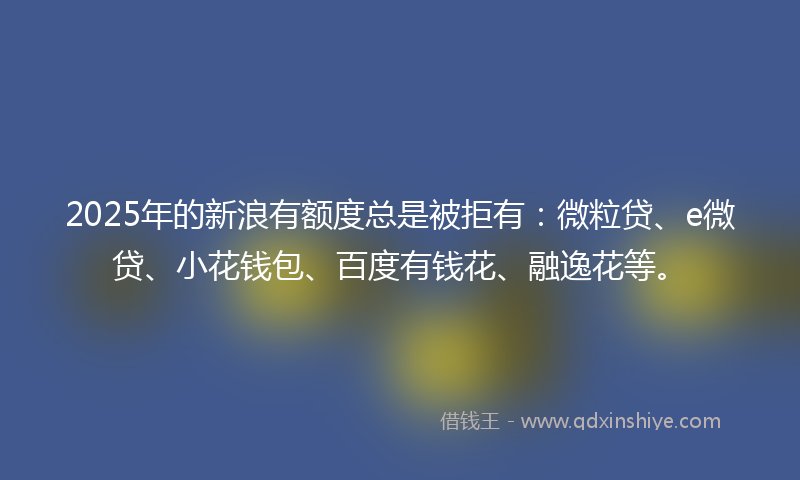 2025年的新浪有额度总是被拒有：微粒贷、e微贷、小花钱包、百度有钱花、融逸花等。