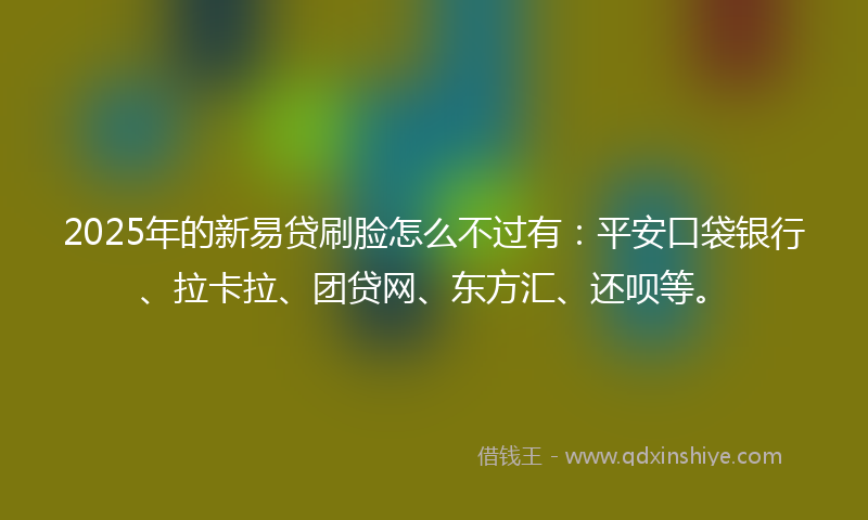 2025年的新易贷刷脸怎么不过有：平安口袋银行、拉卡拉、团贷网、东方汇、还呗等。