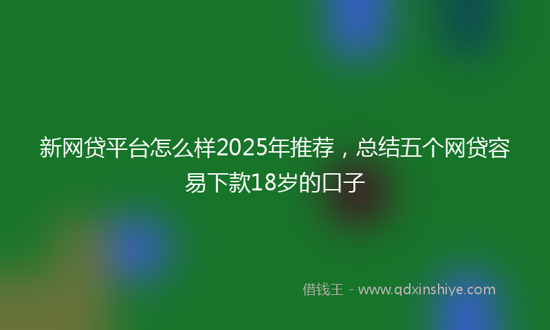 新网贷平台怎么样2025年推荐，总结五个网贷容易下款18岁的口子