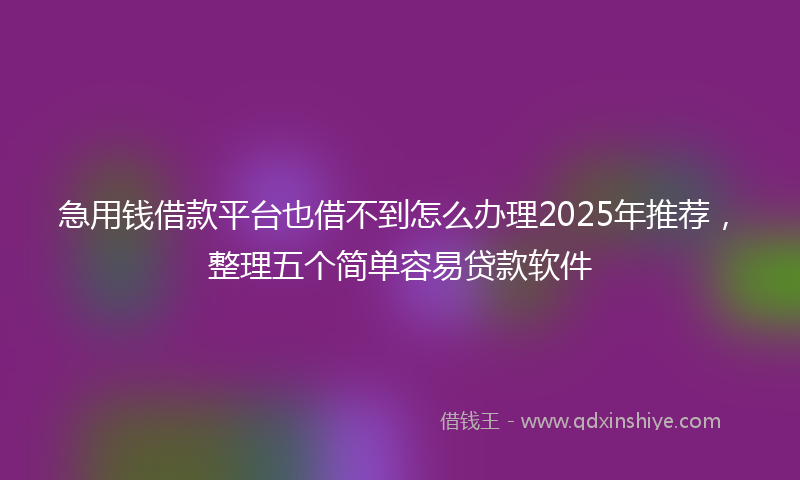 急用钱借款平台也借不到怎么办理2025年推荐，整理五个简单容易贷款软件