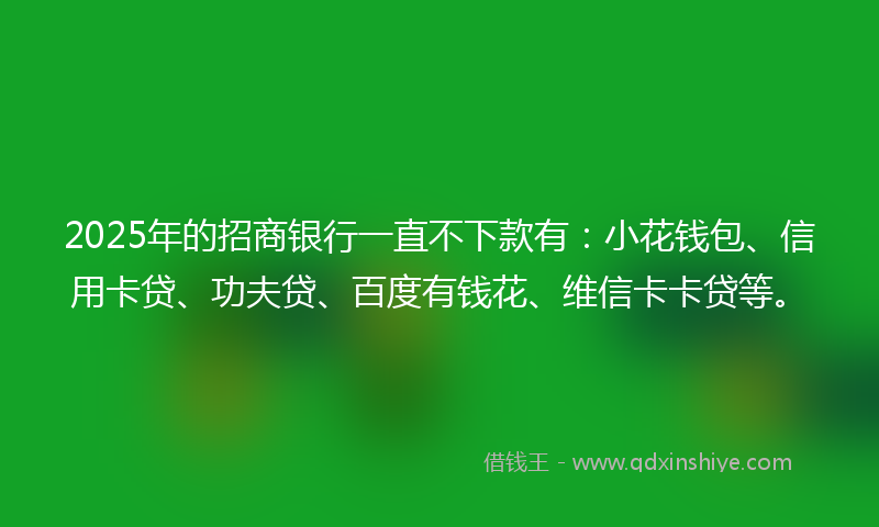 2025年的招商银行一直不下款有：小花钱包、信用卡贷、功夫贷、百度有钱花、维信卡卡贷等。