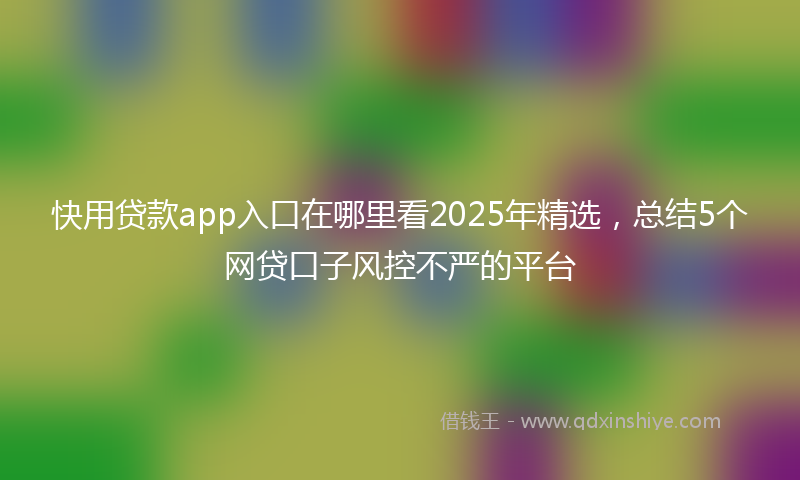 快用贷款app入口在哪里看2025年精选，总结5个网贷口子风控不严的平台