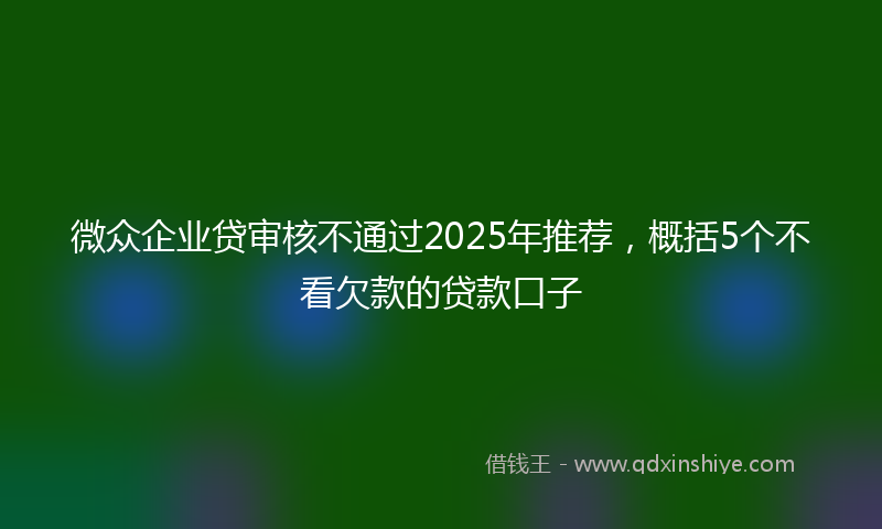 微众企业贷审核不通过2025年推荐，概括5个不看欠款的贷款口子